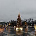 ���� ����, ������� - ��������� 30 ������� 2024 � ������ ���� ����������