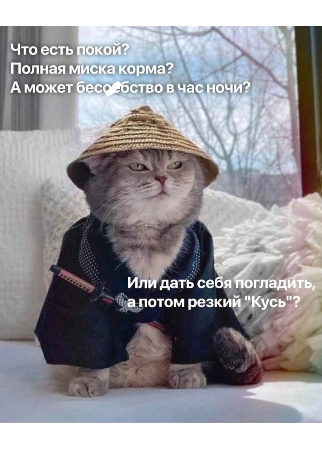  - 4  2025  22:15