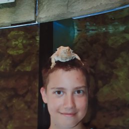 , 24, 