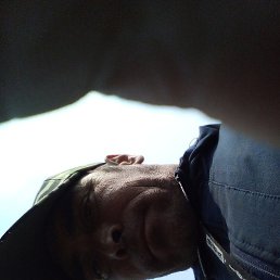 �����, ���������, 40 ���