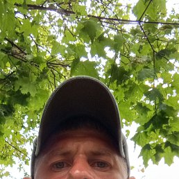 , 35, 