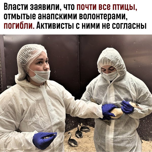 Оперштаб Краснодарского края сообщил, что с 17 декабря по 24 января обнаружено 7336 пострадавших ...