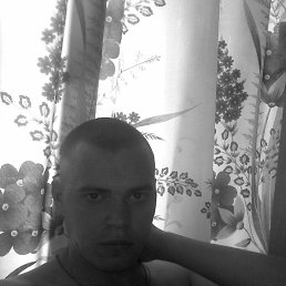 , 41, 