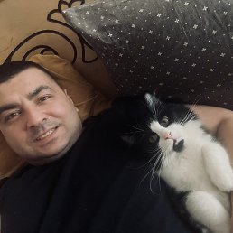 Aziz, �������, 36 ���