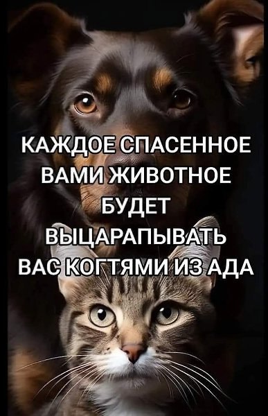������� � �������...