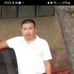 , 52, 