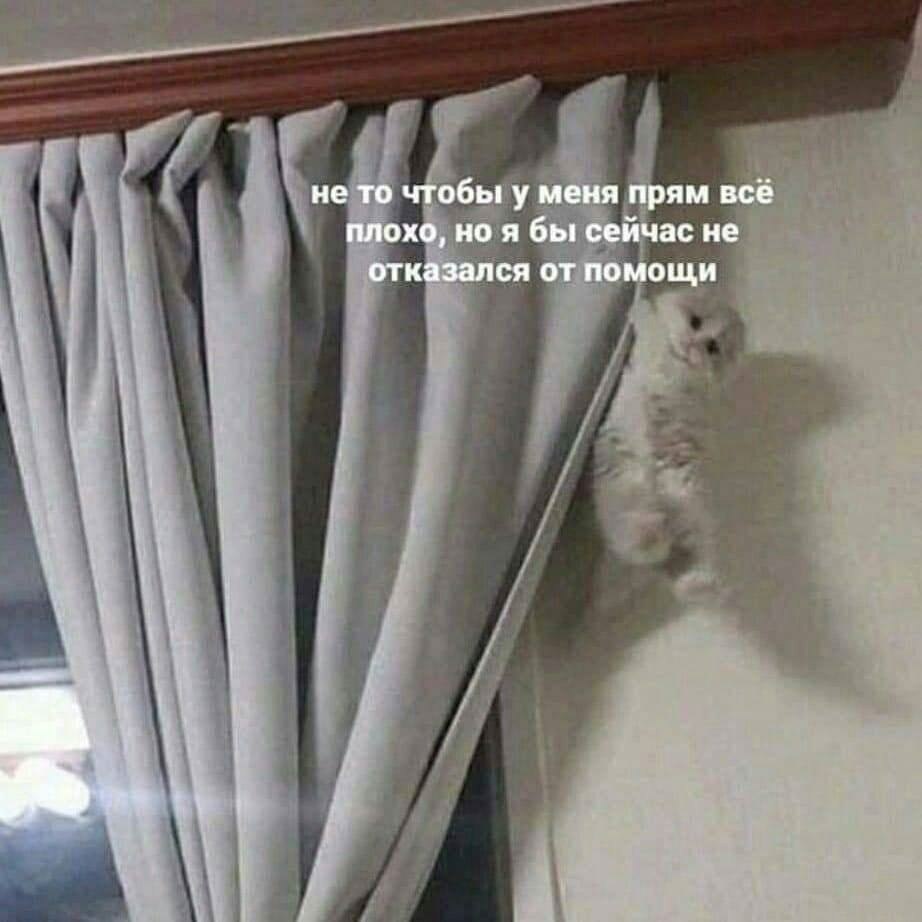    - 23  2024  23:17