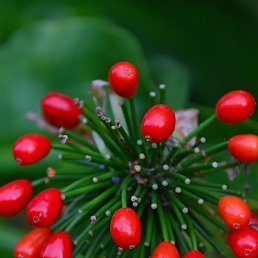 ������, ������, 46 ���