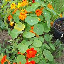 ���� ��������, ������, 59 ��� - ��������� 7 ������� 2024 � ������ ���� ����������