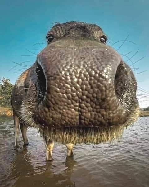 :) ! - .