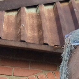 ������, ������, 61 ���