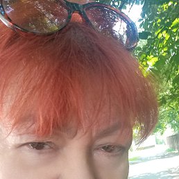 , 65, 