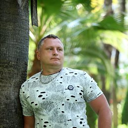 , 50 , --