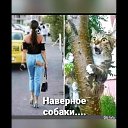 ���� �������, ����-������ - ��������� 20 ����� 2026 � ������ ���� ����������