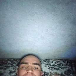 ����, 39 ���, ������������