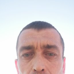 , 39, 