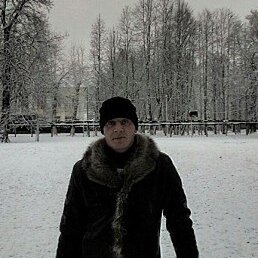 �������, �������, 41 ���