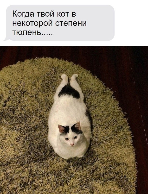   )