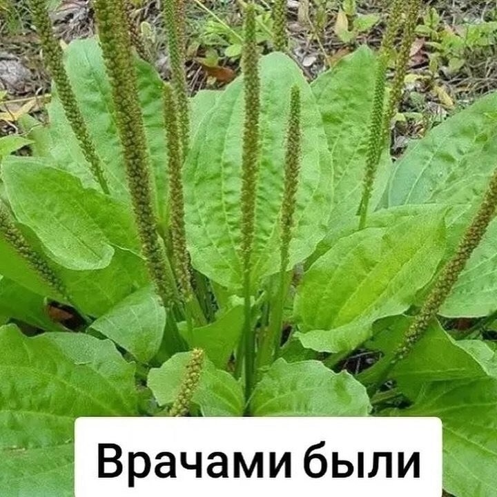    ,  -    !!! - 4