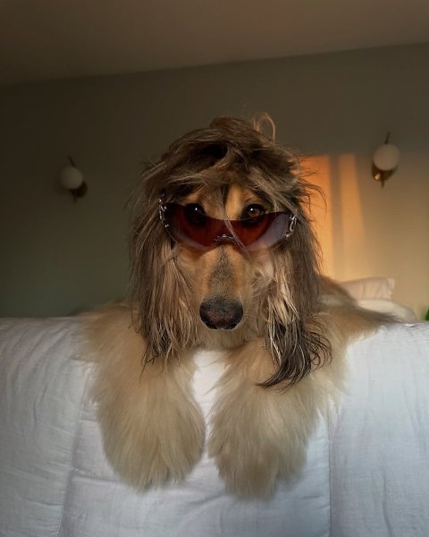     .  .  , ,    ... - 5