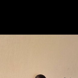 , 21, 