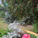 ���� ���������, ����� - ��������� 21 �������� 2025 � ������ ������ ������, �� ����������