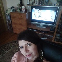 ����, 41 ���, ����