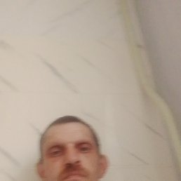  , 42, 