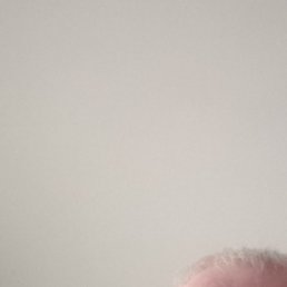 ���, ������, 54 ����