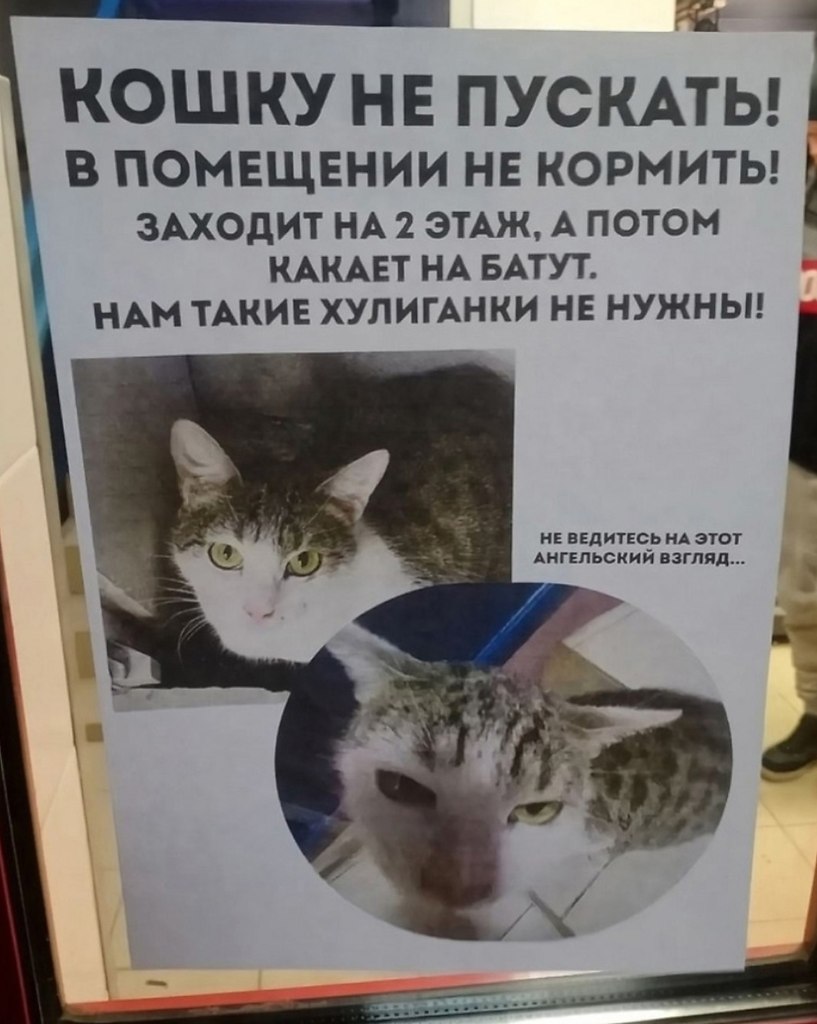   .. - 3