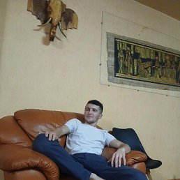 David, 24 ����, ������������