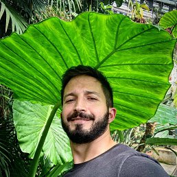 ������, 37 ���, ��������