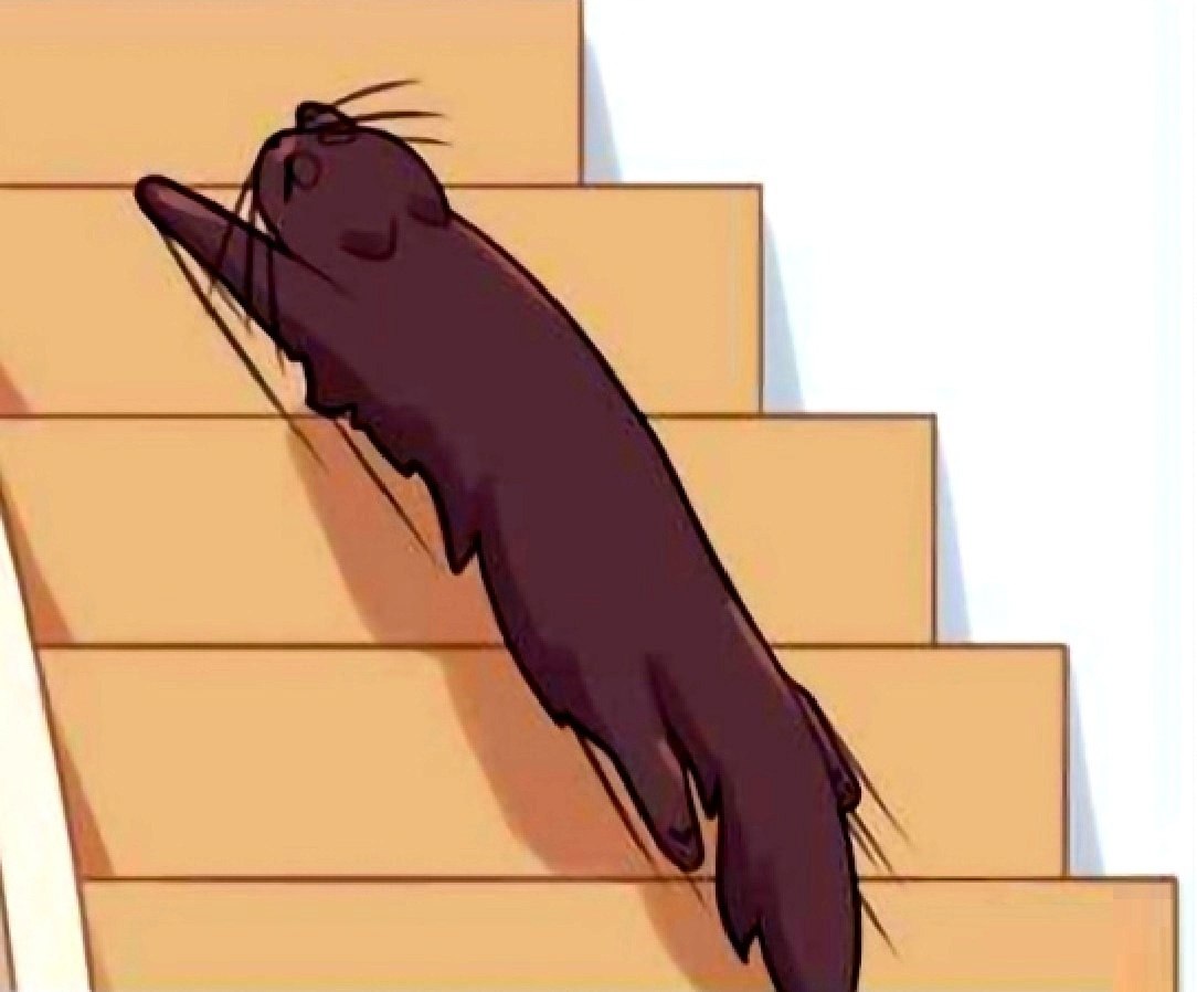       ,     - 3