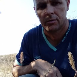 , 45, 