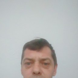 , 43, 