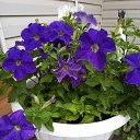 ���� ������, ������� - ��������� 10 ������ 2026