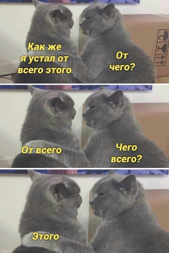 ��� ���� � ����� �� �� - 29 ������ 2026 � 16:55