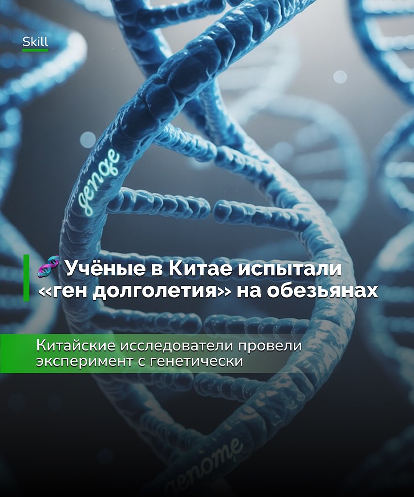 Это первое доказательство того, что такая терапия способна замедлять старение у приматов, а значит, ...
