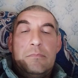 ������, ����, 46 ���