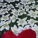 ���� Vinni, �����������, 24 ���� - ��������� 25 ��� 2026 � ������ ���� ����������
