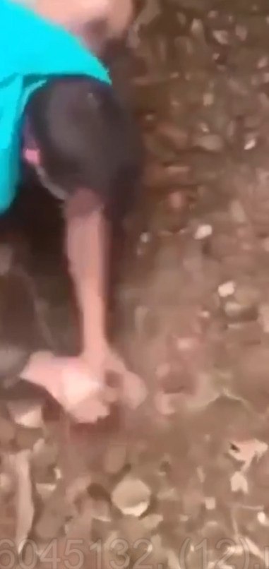 ���������� �����.������ �������������� ���� ���� ��������� ��������� ������� ���������. ��������� ...