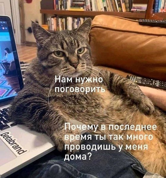 Кошка является символом наслаждения и радости в жизни, а значит, — полной противоположностью ...