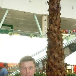 �������, 48 ���, ����������