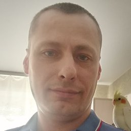 �����, ����������