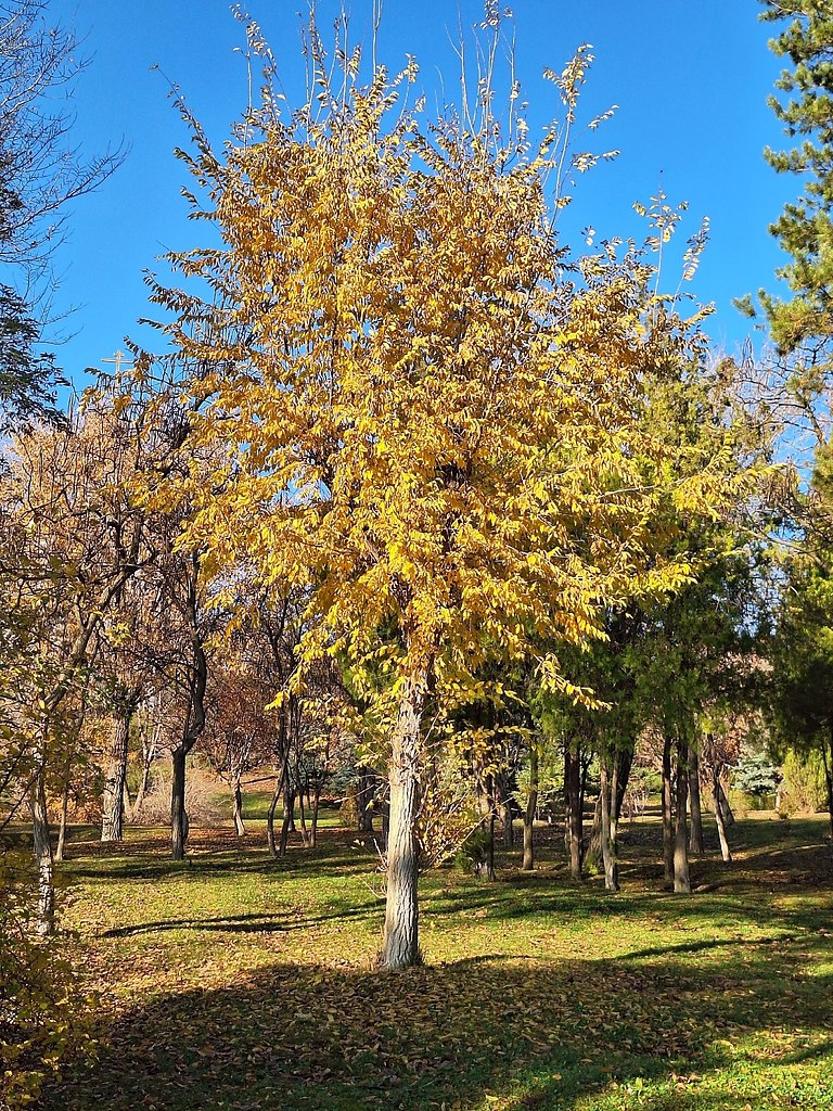 o��o�pa� - 4
