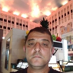 , 43, 