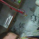  , , 41  -  8  2024    