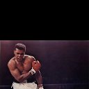 ���� �����, ������, 23 ���� - ��������� 18 ������ 2024 � ������ ���� ����������