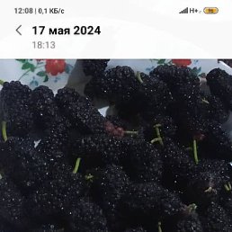 , , 38  -  12  2025