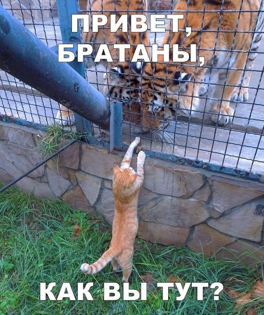 :)